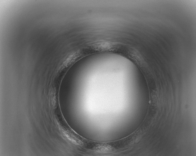 X0000080140642200612151805
