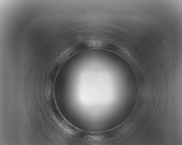 X0000080140645200612151805