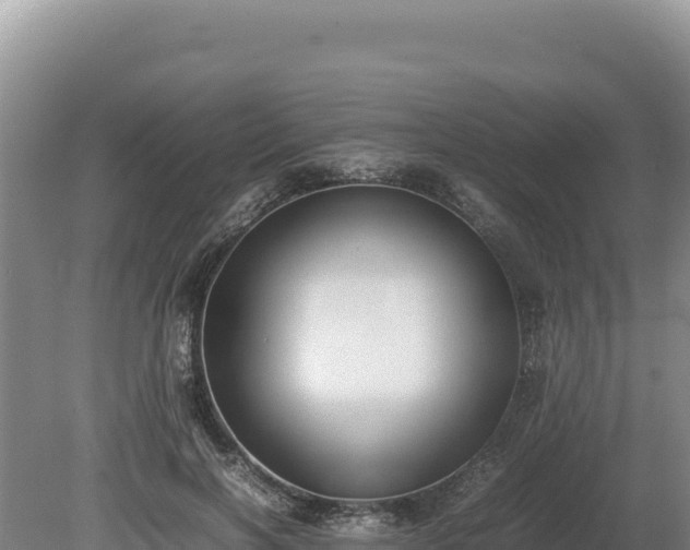 X0000080140646200612151805