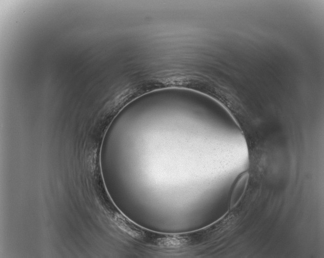 X0000080140652200612151805