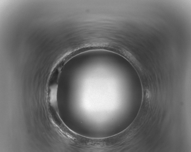 X0000080140676200612151805