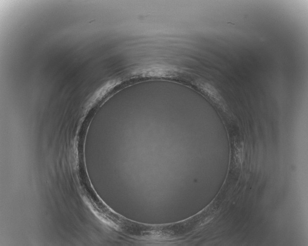 X0000080140678200612151805
