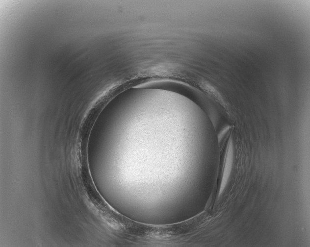 X0000080140680200612151805