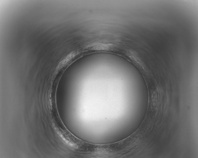 X0000080140682200612151805