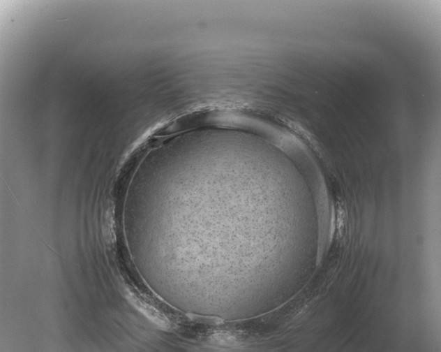 X0000080140684200612151805