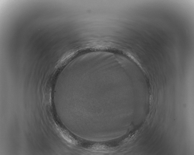 X0000080140685200612151805