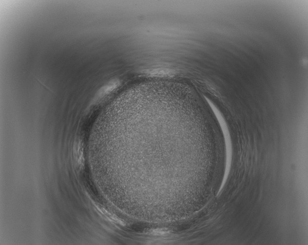 X0000080140692200612151805