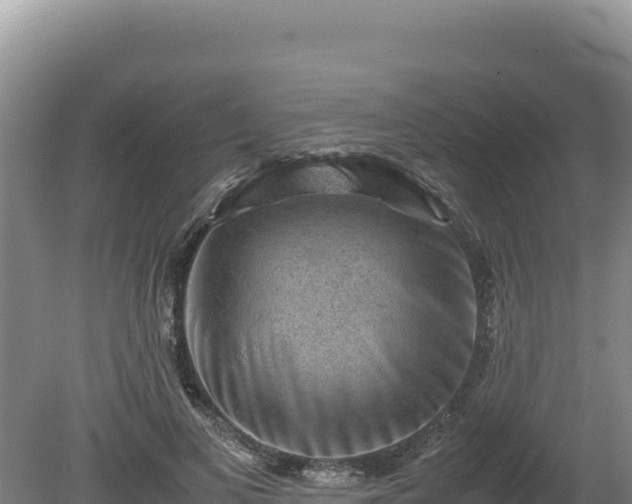 X0000080140693200612151805