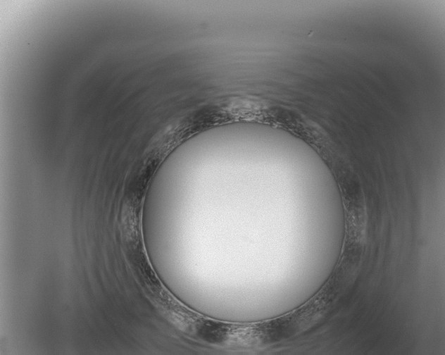 X0000080140705200612151804