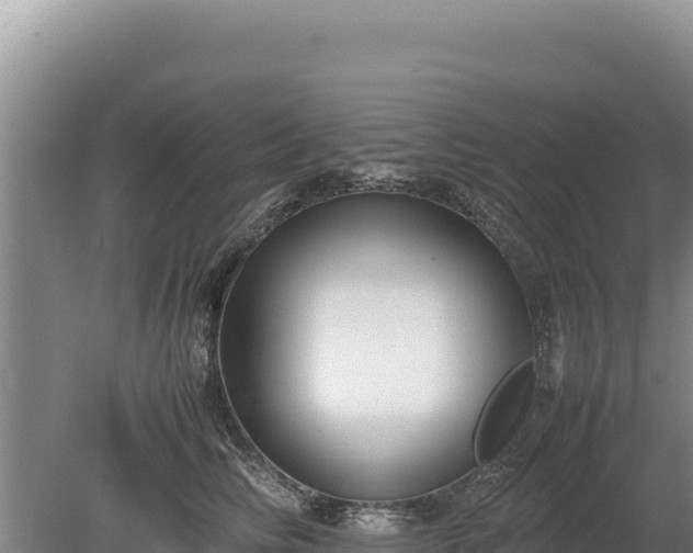 X0000080140710200612151804