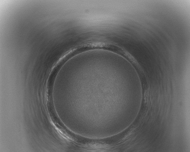 X0000080140722200612151803