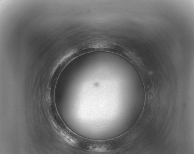 X0000080140727200612151803