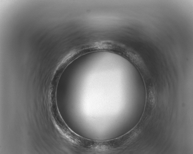 X0000080140730200612151803