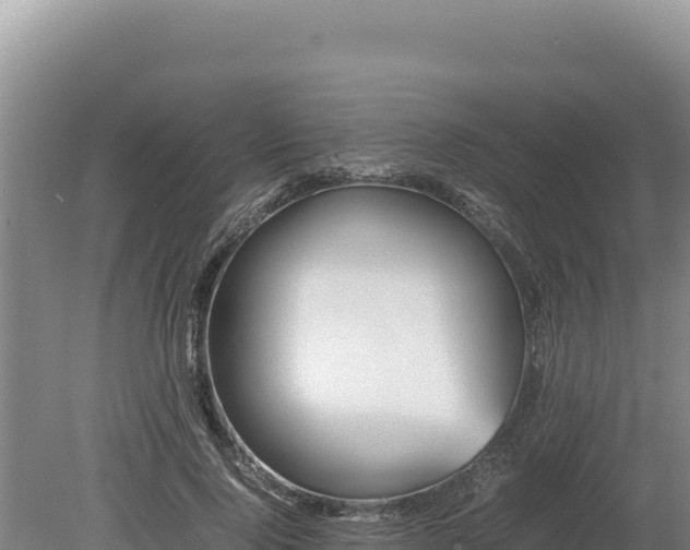 X0000080140740200612151804