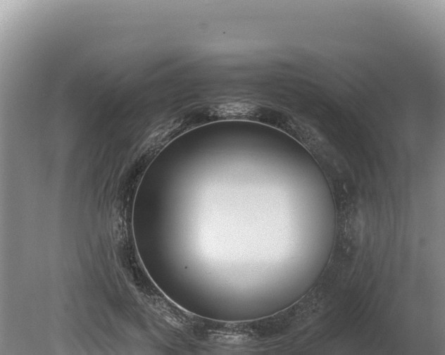 X0000080140743200612151804
