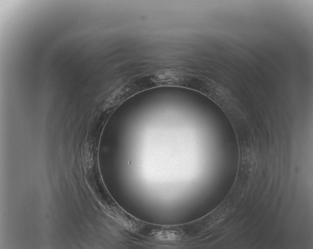 X0000080140751200612151804