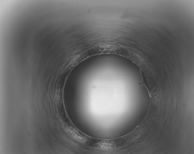 X0000080140756200612151804