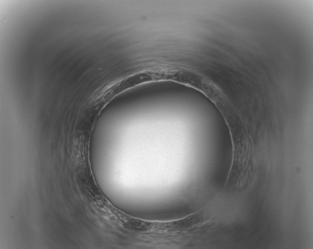 X0000080140773200612151803