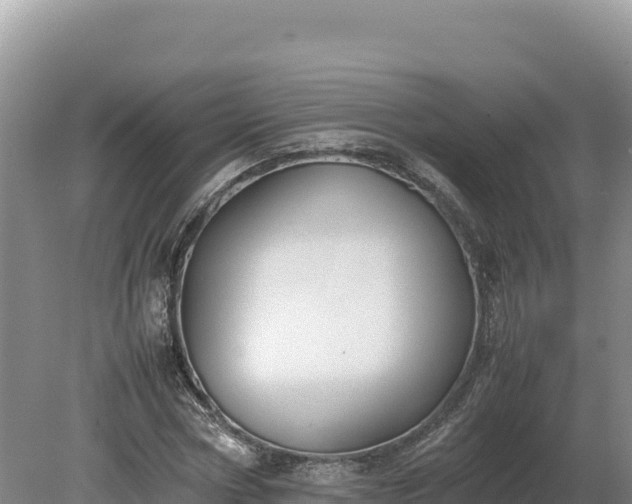X0000080140778200612151803