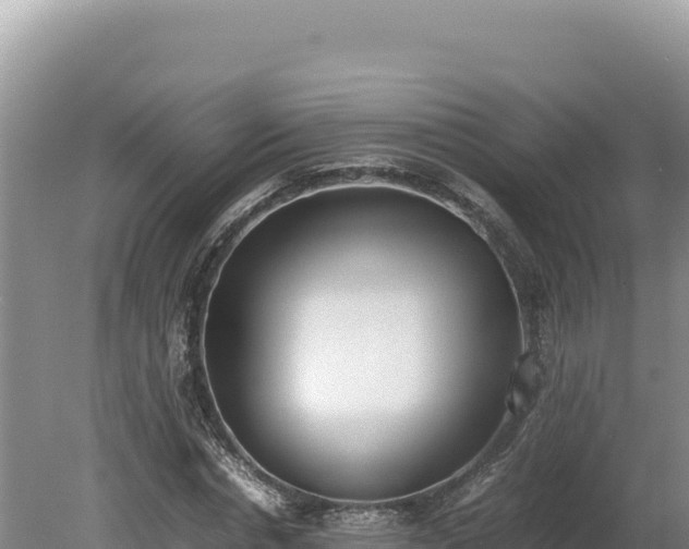X0000080140826200612151802