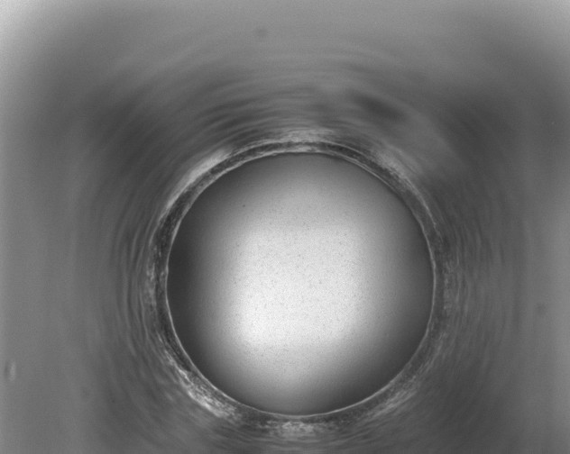 X0000080140827200612151802