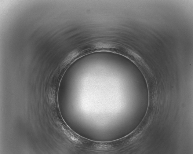 X0000080140833200612151802