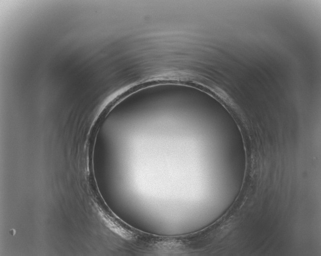 X0000080140838200612151802