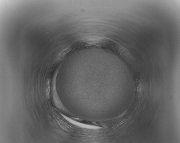 X0000080140868200612151802