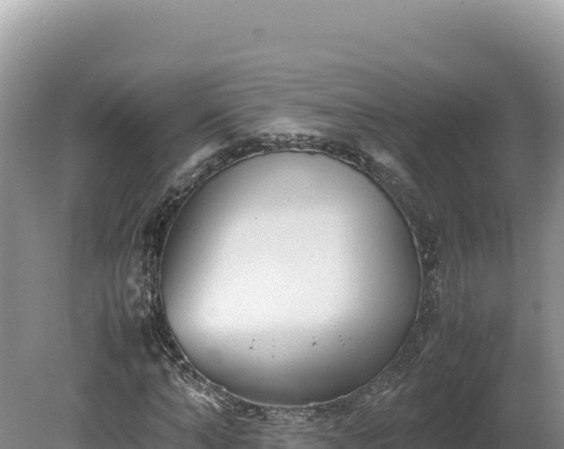 X0000080140870200612151802