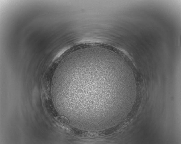 X0000080140871200612151801