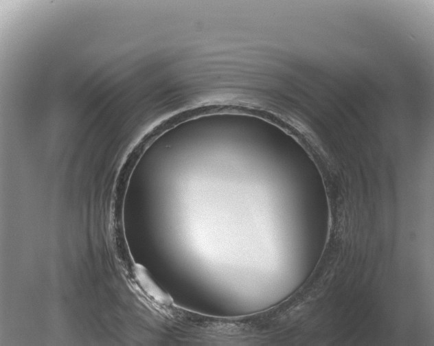 X0000080140880200612151801