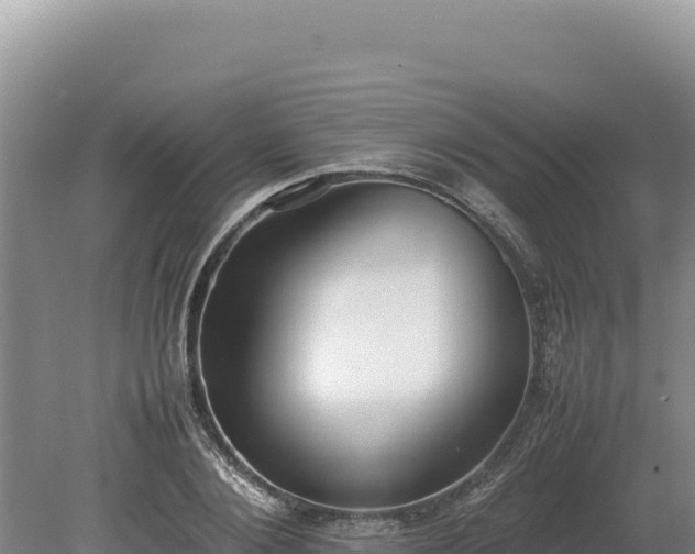 X0000080140884200612151801