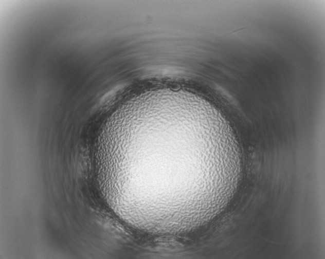 X0000080140918200612151800