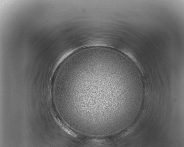 X0000080140933200612151800