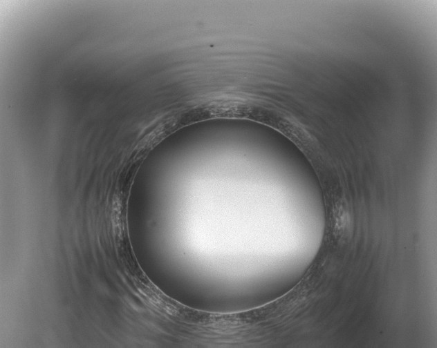 X0000080140964200612151800