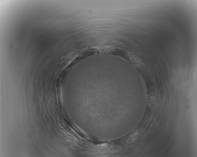 X0000080141010200612151758