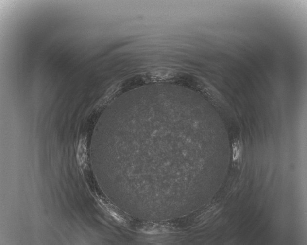 X0000080141011200612151758