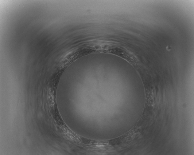 X0000080141013200612151758