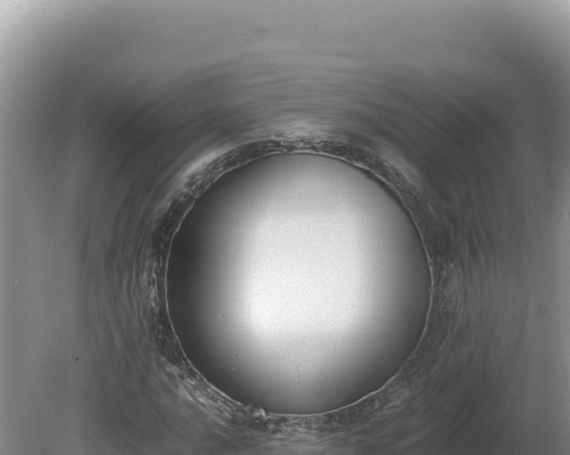 X0000080141016200612151759