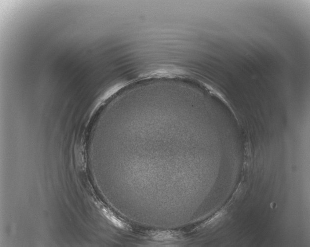X0000080141018200612151759