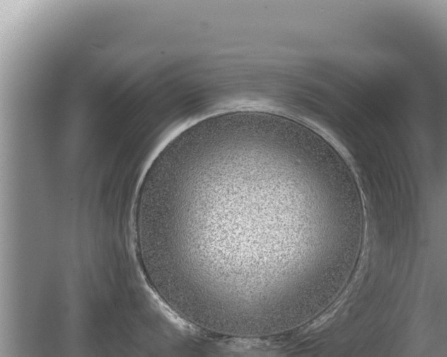 X0000080141056200612151759