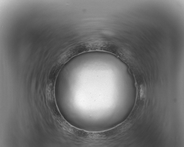 X0000080141059200612151758