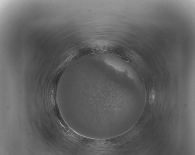 X0000080141060200612151758