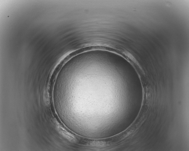 X0000080141068200612151758