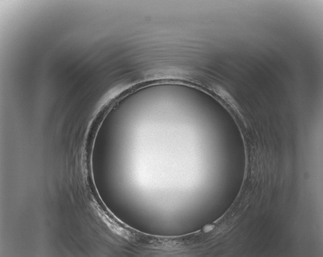 X0000080141072200612151758