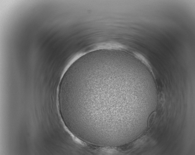 X0000080141103200612151758