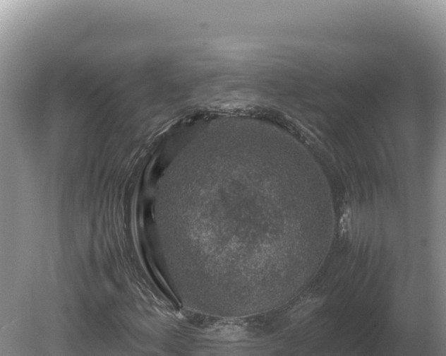X0000080141156200612151757