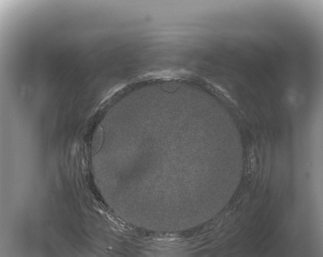 X0000080141158200612151757