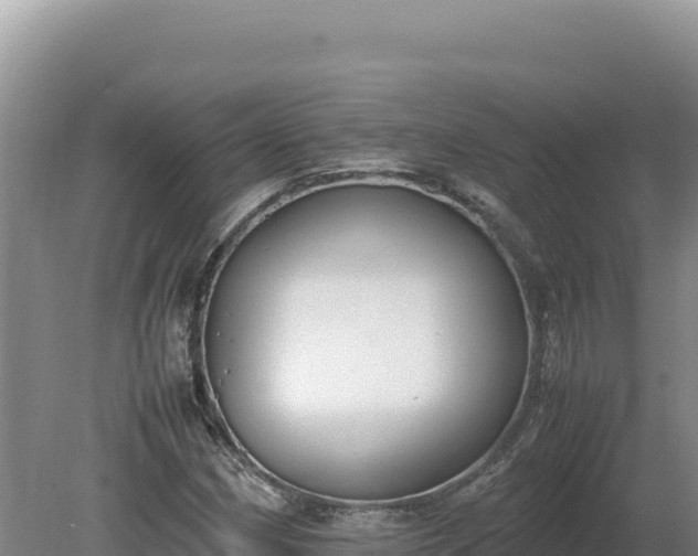 X0000080141162200612151757