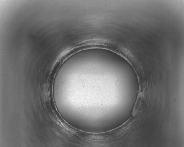 X0000080141164200612151757